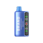 OEM / ODM Disposable Vape 16000Puffs