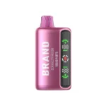 OEM / ODM Disposable Vape 16000Puffs - Afbeelding 5