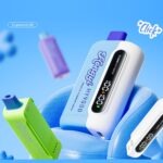OEM /ODM Disposable Vape 20000puffs - Image 2