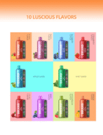 OEM / ODM Disposable Vape 16000Puffs - Afbeelding 8