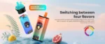 OEM / ODM Disposable Vape 60000Puffs - Immagine 7