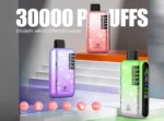 OEM / ODM Disposable Vape 30000Puffs - Afbeelding 7