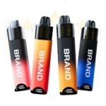OEM / ODM Disposable Vape 800 PUFFS (TPD Certified)