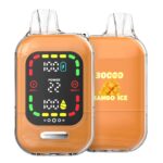 OEM / ODM Disposable Vape 30000Puffs - Afbeelding 2