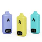 CBD/THC oil  Disposable Box Large capacity - Immagine 2