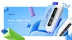 OEM /ODM Disposable Vape 20000puffs - Image 6